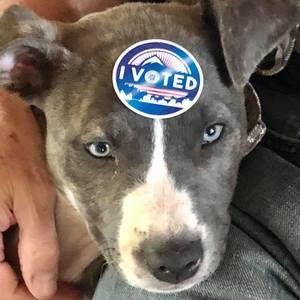 Meet your Posher, Dana